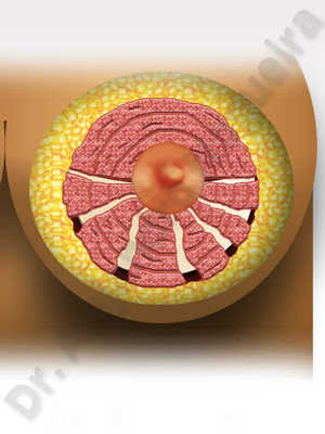 World's Biggest Areolas